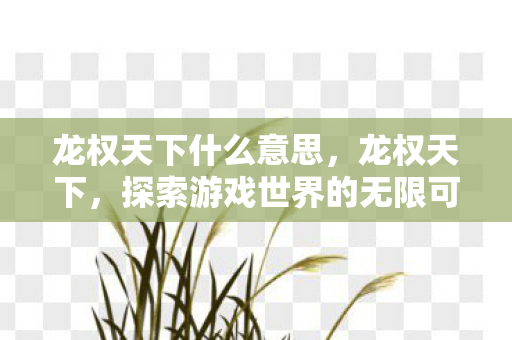 龙权天下什么意思,龙权天下,探索游戏世界的无限可能 龙权天下什么意思,龙权天下,探索游戏世界的无限可能