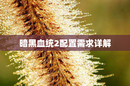 暗黑血统2配置需求详解 暗黑血统2配置需求详解