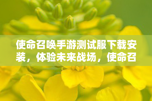使命召唤手游测试服下载安装，体验未来战场，使命召唤手游测试服下载指南