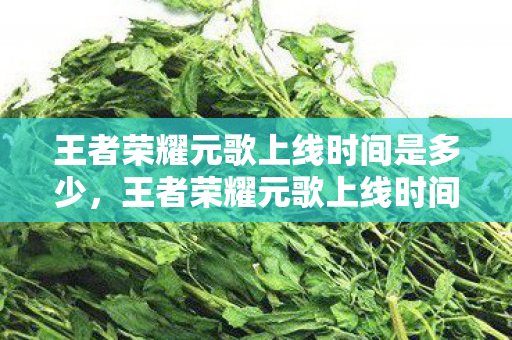 王者荣耀元歌上线时间是多少，王者荣耀元歌上线时间，历史与未来的交汇点