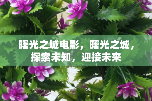 曙光之城电影,曙光之城,探索未知,迎接未来 曙光之城电影,曙光之城,探索未知,迎接未来