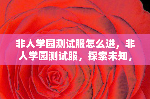 非人学园测试服怎么进，非人学园测试服，探索未知，挑战极限