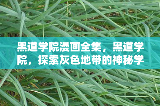 黑道学院漫画全集,黑道学院,探索灰色地带的神秘学府 黑道学院漫画全集,黑道学院,探索灰色地带的神秘学府