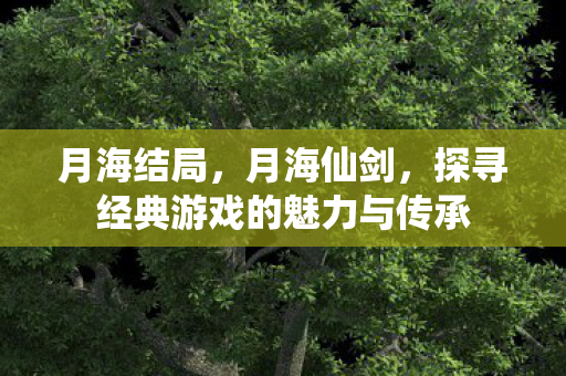 月海结局,月海仙剑,探寻经典游戏的魅力与传承 月海结局,月海仙剑,探寻经典游戏的魅力与传承