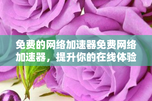 免费的网络加速器免费网络加速器,提升你的在线体验 免费的网络加速器免费网络加速器,提升你的在线体验