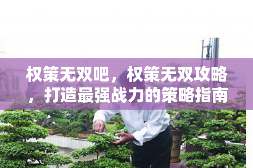打造最强战力的策略指南图片