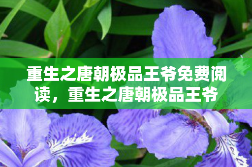 重生之唐朝极品王爷免费阅读,重生之唐朝极品王爷 重生之唐朝极品王爷免费阅读,重生之唐朝极品王爷