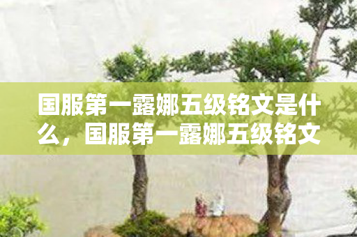 国服第一露娜五级铭文是什么,国服第一露娜五级铭文,解锁顶尖操作,成就王者之路 国服第一露娜五级铭文是什么,国服第一露娜五级铭文,解锁顶尖操作,成就王者之路