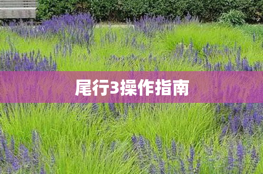 尾行3操作指南 尾行3操作指南