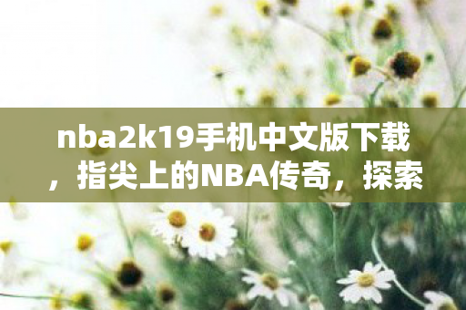 nba2k19手机中文版下载,指尖上的NBA传奇,探索NBA 2K19手机版的无限可能 nba2k19手机中文版下载,指尖上的NBA传奇,探索NBA 2K19手机版的无限可能