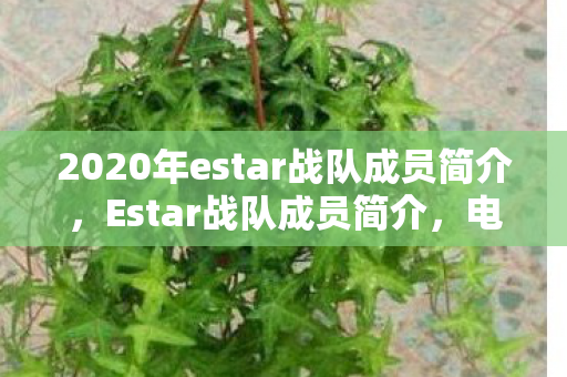 2020年estar战队成员简介图片