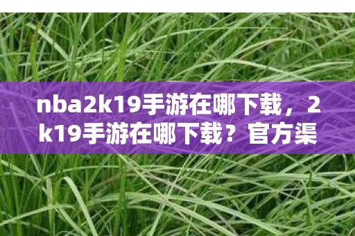 nba2k19手游在哪下载图片