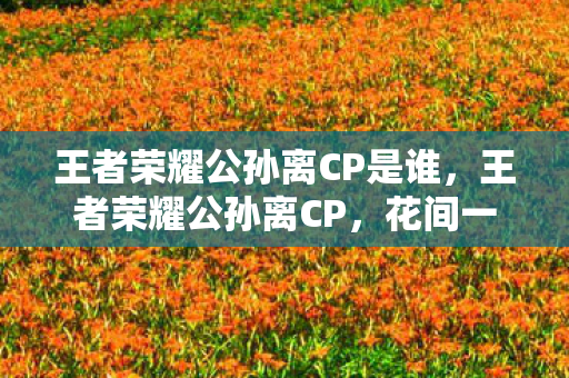 王者荣耀公孙离CP是谁图片