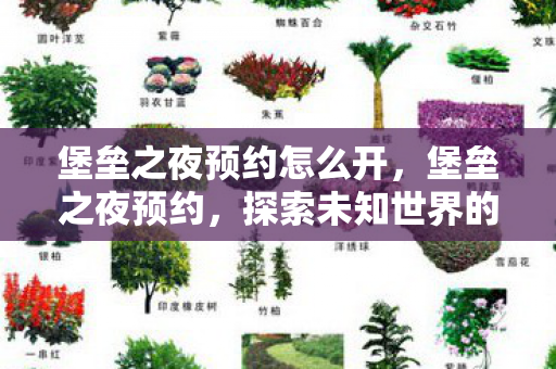 堡垒之夜预约怎么开,堡垒之夜预约,探索未知世界的奇幻之旅 堡垒之夜预约怎么开,堡垒之夜预约,探索未知世界的奇幻之旅