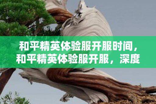 和平精英体验服开服时间，和平精英体验服开服，深度解析新版本特性与玩家期待