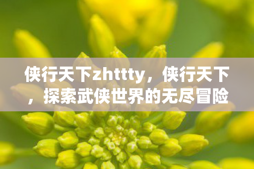 侠行天下zhttty,侠行天下,探索武侠世界的无尽冒险 侠行天下zhttty,侠行天下,探索武侠世界的无尽冒险