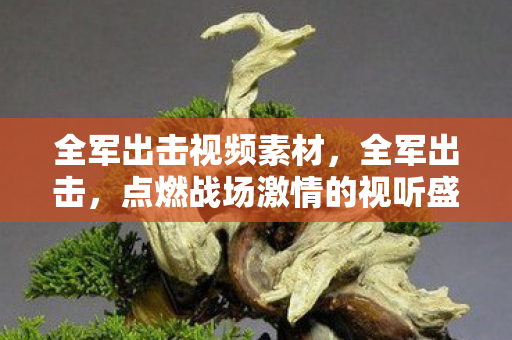 全军出击视频素材,全军出击,点燃战场激情的视听盛宴 全军出击视频素材,全军出击,点燃战场激情的视听盛宴