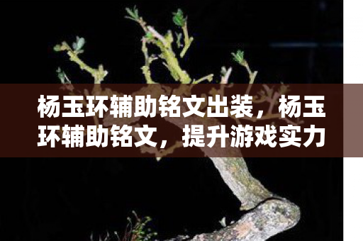 杨玉环辅助铭文出装,杨玉环辅助铭文,提升游戏实力,打造完美辅助 杨玉环辅助铭文出装,杨玉环辅助铭文,提升游戏实力,打造完美辅助