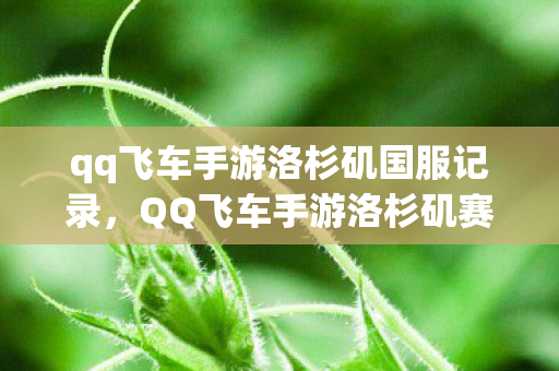 QQ飞车手游洛杉矶赛道技巧解析图片