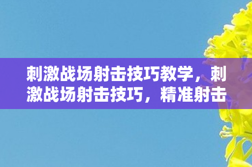 刺激战场射击技巧教学，刺激战场射击技巧，精准射击与战术运用