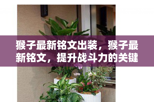 猴子最新铭文出装,猴子最新铭文,提升战斗力的关键 猴子最新铭文出装,猴子最新铭文,提升战斗力的关键