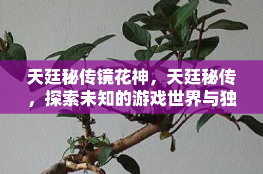 天廷秘传镜花神,天廷秘传,探索未知的游戏世界与独特玩法 天廷秘传镜花神,天廷秘传,探索未知的游戏世界与独特玩法