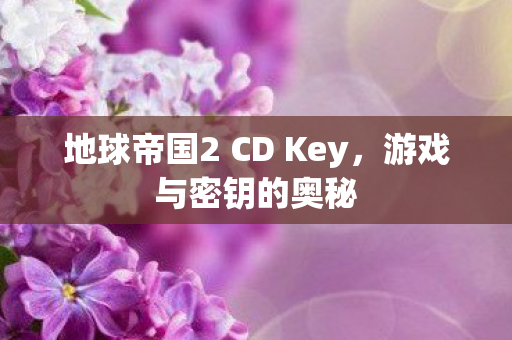 地球帝国2 CD Key，游戏与密钥的奥秘