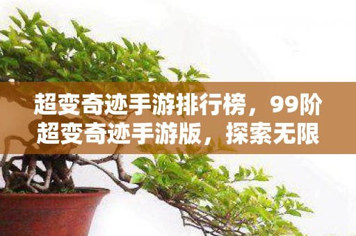 超变奇迹手游排行榜，99阶超变奇迹手游版，探索无限可能的魔幻之旅
