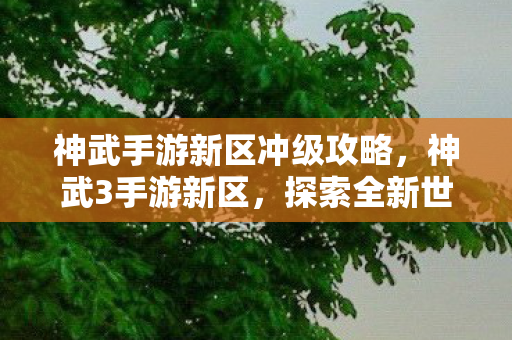神武手游新区冲级攻略,神武3手游新区,探索全新世界的奇妙之旅 神武手游新区冲级攻略,神武3手游新区,探索全新世界的奇妙之旅