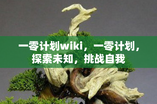 一零计划wiki,一零计划,探索未知,挑战自我 一零计划wiki,一零计划,探索未知,挑战自我