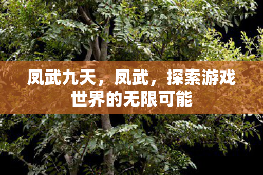 凤武九天,凤武,探索游戏世界的无限可能 凤武九天,凤武,探索游戏世界的无限可能