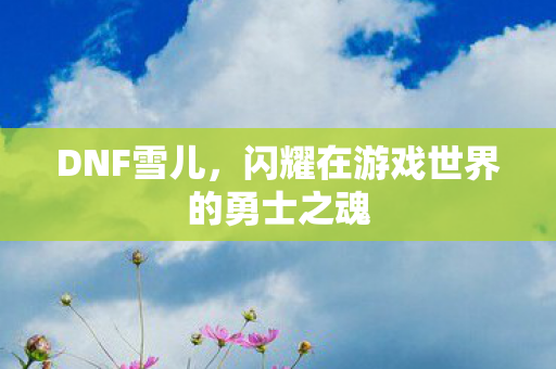 DNF雪儿,闪耀在游戏世界的勇士之魂 DNF雪儿,闪耀在游戏世界的勇士之魂