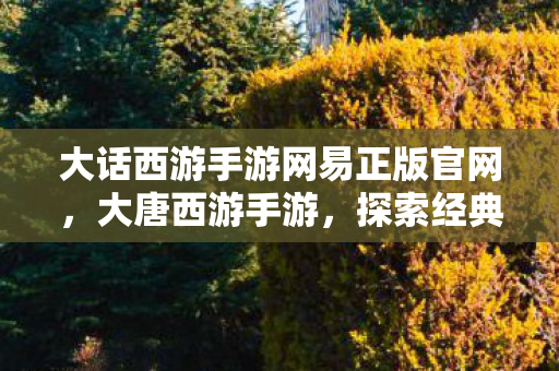 大话西游手游网易正版官网,大唐西游手游,探索经典与创新的完美融合 大话西游手游网易正版官网,大唐西游手游,探索经典与创新的完美融合
