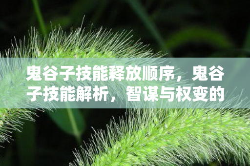 鬼谷子技能释放顺序，鬼谷子技能解析，智谋与权变的艺术