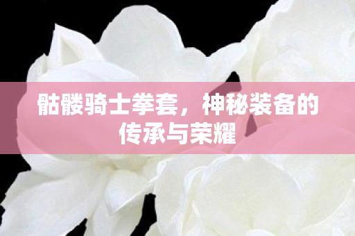 骷髅骑士拳套,神秘装备的传承与荣耀 骷髅骑士拳套,神秘装备的传承与荣耀