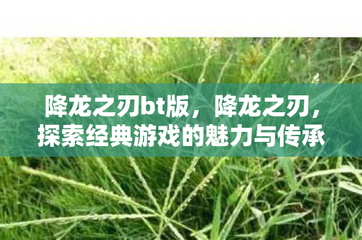 探索经典游戏的魅力与传承图片