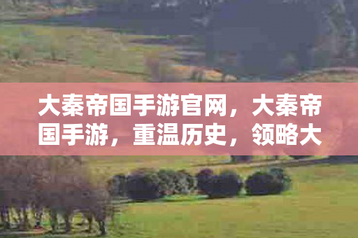 大秦帝国手游官网图片
