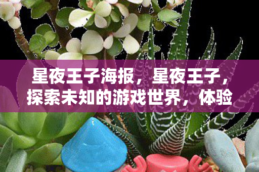 星夜王子海报，星夜王子，探索未知的游戏世界，体验不一样的冒险之旅