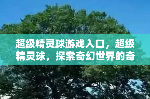 超级精灵球游戏入口，超级精灵球，探索奇幻世界的奇妙之旅