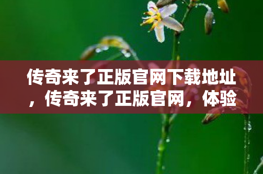 传奇来了正版官网下载地址图片