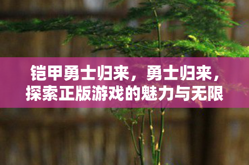 铠甲勇士归来，勇士归来，探索正版游戏的魅力与无限可能