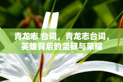 英雄背后的坚韧与荣耀图片