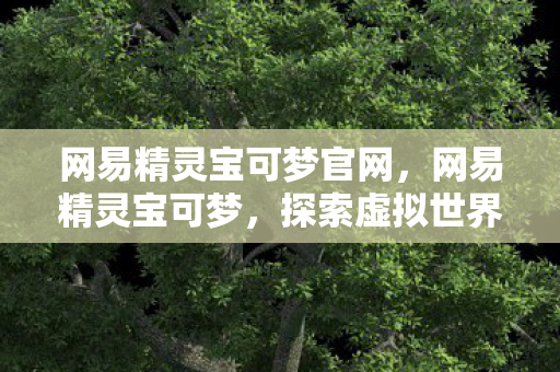 探索虚拟世界的奇妙之旅图片