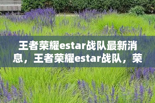 王者荣耀estar战队最新消息，王者荣耀estar战队，荣耀背后的坚持与努力