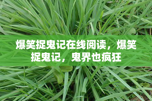 爆笑捉鬼记在线阅读，爆笑捉鬼记，鬼界也疯狂