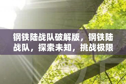 钢铁陆战队破解版图片