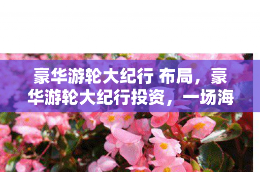 一场海上奢华之旅的财富探索图片