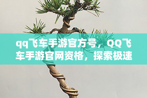 qq飞车手游官方号，QQ飞车手游官网资格，探索极速之旅的通行证