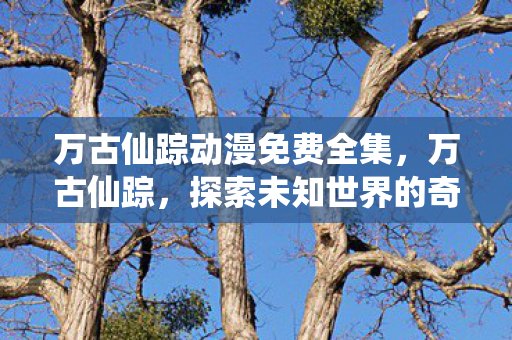 万古仙踪动漫免费全集,万古仙踪,探索未知世界的奇幻之旅 万古仙踪动漫免费全集,万古仙踪,探索未知世界的奇幻之旅