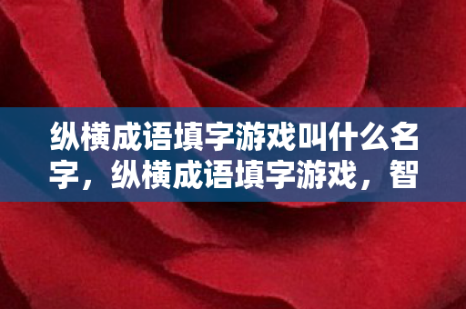 纵横成语填字游戏叫什么名字,纵横成语填字游戏,智慧与文化的碰撞 纵横成语填字游戏叫什么名字,纵横成语填字游戏,智慧与文化的碰撞
